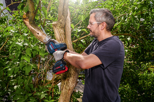 Person wearing safety equipment trims a tree branch with a cordless saw.