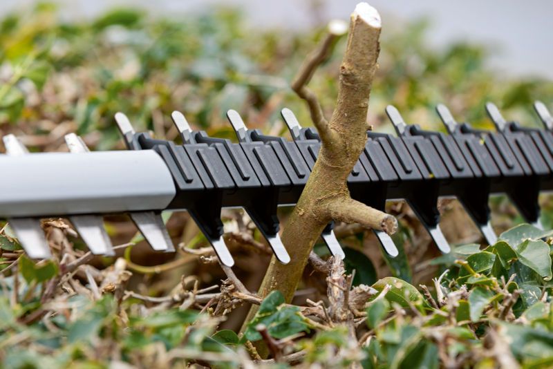 GHE 18V-60 Hedge trimmer blade cutting through a thick branch among green leaves.