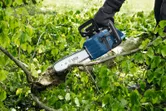 A person wearing safety equipment cuts a fallen tree branch with a cordless chainsaw.