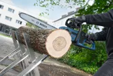 A person wearing safety equipment cuts a large log using a cordless chainsaw.
