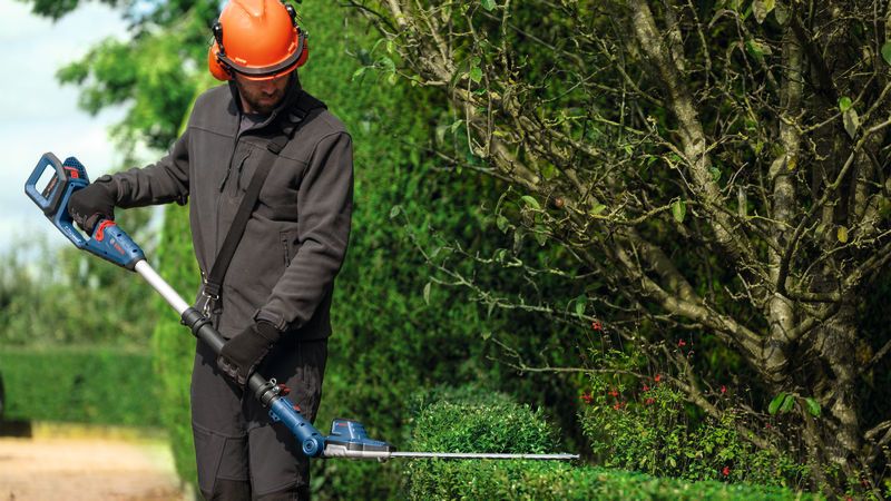 A person wearing safety equipment trims tall hedges with a cordless telescopic hedgecutter.