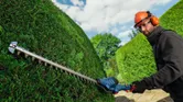 A person wearing safety equipment trims a large hedge using a cordless hedgecutter.