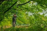 A person wearing safety equipment trims a tree branch with a pole saw outdoors.
