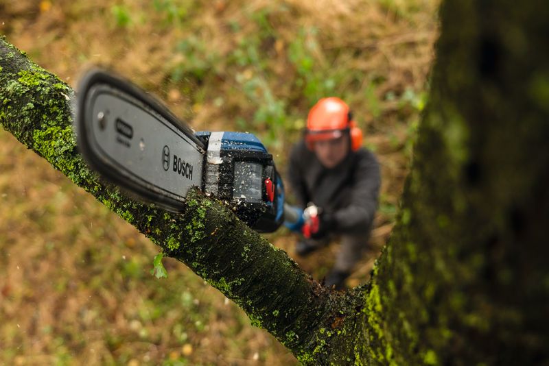 GKE 18V-25 TP A person wearing safety equipment trims a tree branch using a cordless telescopic pruner.