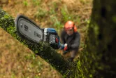 A person wearing safety equipment trims a mossy tree branch with a cordless chainsaw.