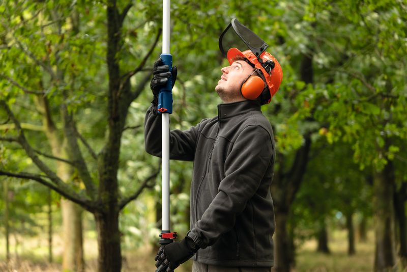 GKE 18V-25 TP A person wearing safety equipment operates a cordless telescopic pruner in a forest.