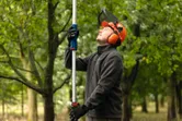 A person wearing safety equipment uses a pole saw to prune tree branches outdoors.