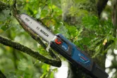 Chainsaw cutting through a tree branch surrounded by green leaves.
