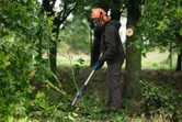 A person wearing safety equipment trims tree branches with a pole saw in a forested area.
